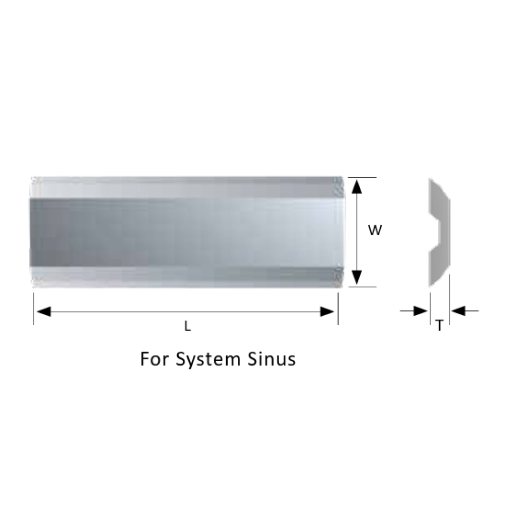 Sinus
